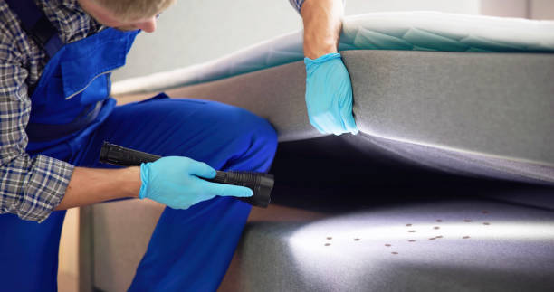 Best Residential Pest Control  in Mammoth, AZ